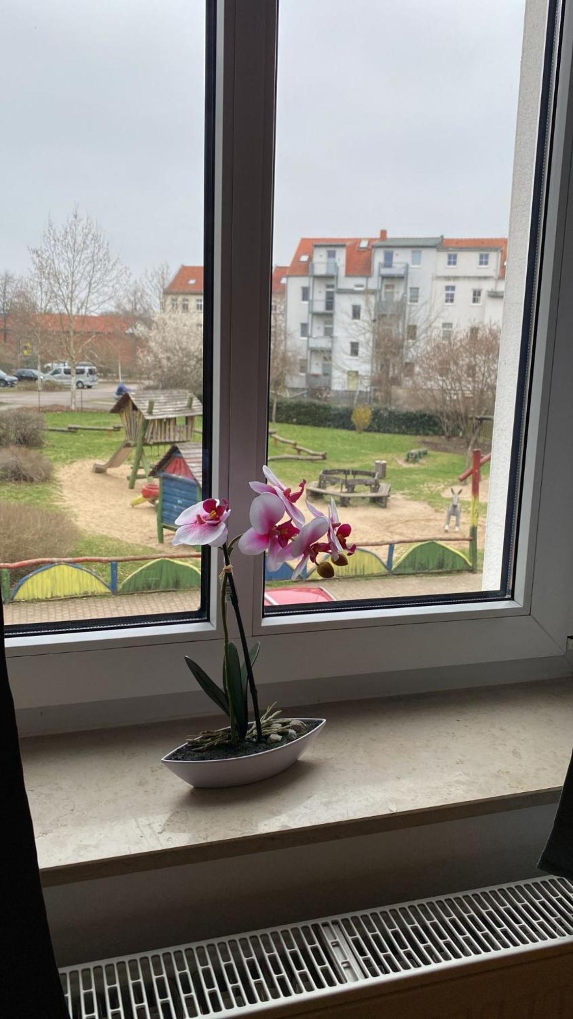 Fewo "Franzi" 5 Personen, Zentrale Lage, Parkplatz Dessau-Rosslau ภายนอก รูปภาพ